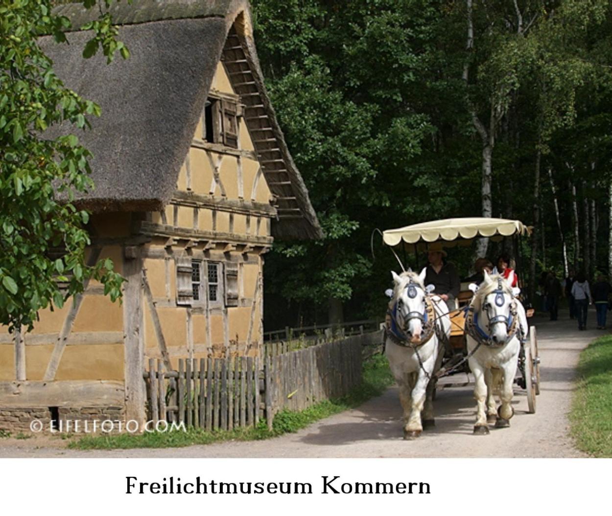 Ferienwohnung Gross A Schleiden Zewnętrze zdjęcie