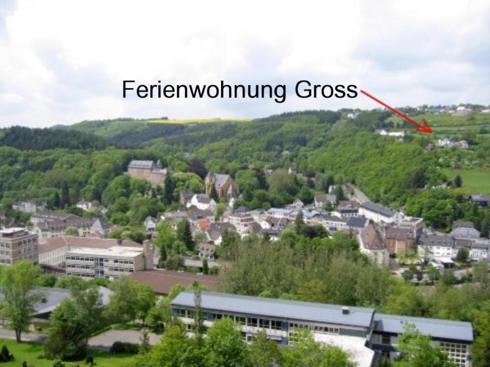 Ferienwohnung Gross A Schleiden Zewnętrze zdjęcie